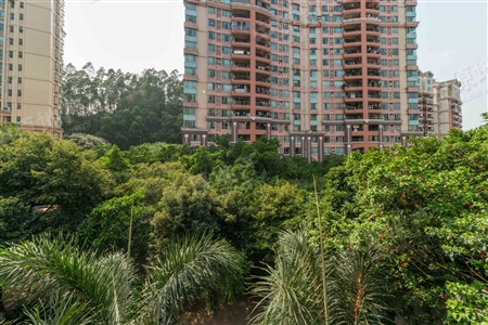 雅居乐 南湖半岛花园 看房方便 业主诚意出售 户型方正