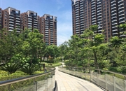 凯云新世界