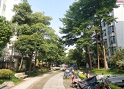 祈福新村海晴居