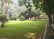 华文学院