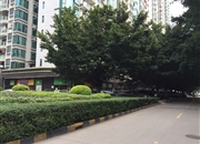 第三金碧花园