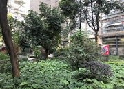 双城国际公寓