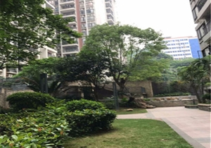 日出观山苑 电梯南向大三房 保养好