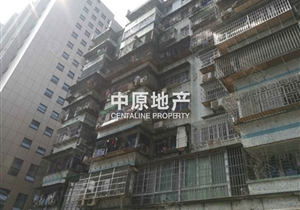 龙珠楼  精装修 环境优美 交通方便 生活设施齐全