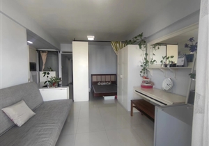 嘉尚国际公寓 二房一厅 证过五年 产权清晰