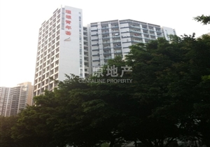 理想青年荟 一房一厅  中楼层  过五年