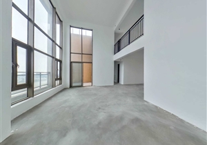 南天名苑望江顶楼复式 270°环幕江景 俯瞰珠江盛景