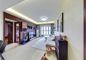 力迅T 地铁口 高层南向 景观好 证过五年 价格可议